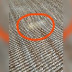 How to Clean Pet Stains from Jute Rug