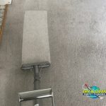 How to Clean Pet Stains from Sisal Rug