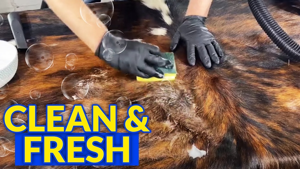 How to Clean Pet Urine from a Cowhide Rug