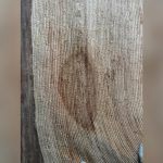 How to Clean Pet Urine from Jute Rug
