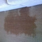 How to Clean Pet Urine from Sisal Rug