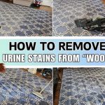 How to Clean Pet Urine from Wool Area Rug