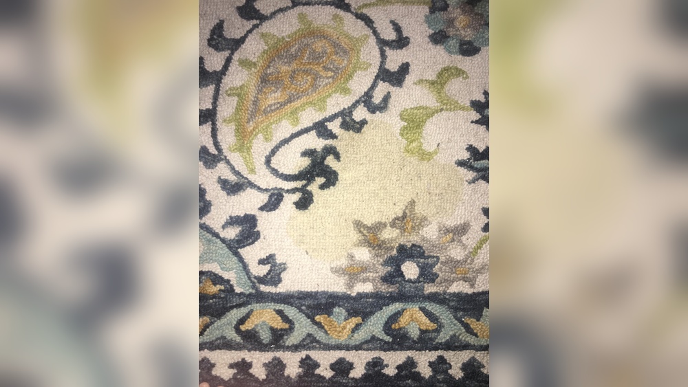 How to Clean Pet Urine Out of Wool Rug