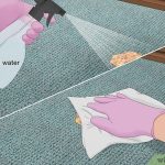 How to Clean Pet Vomit from a Rug