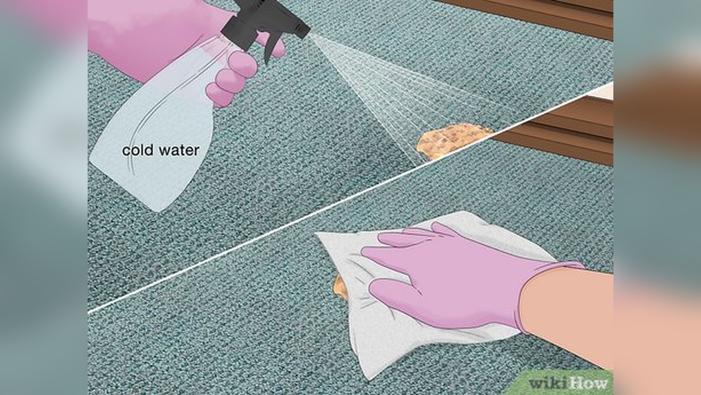 How to Clean Pet Vomit from a Rug