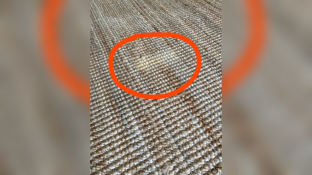 How to Clean Sisal Rug Pet Stains