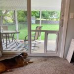 How to Clip Gate Onto Doorway to Separate Pets