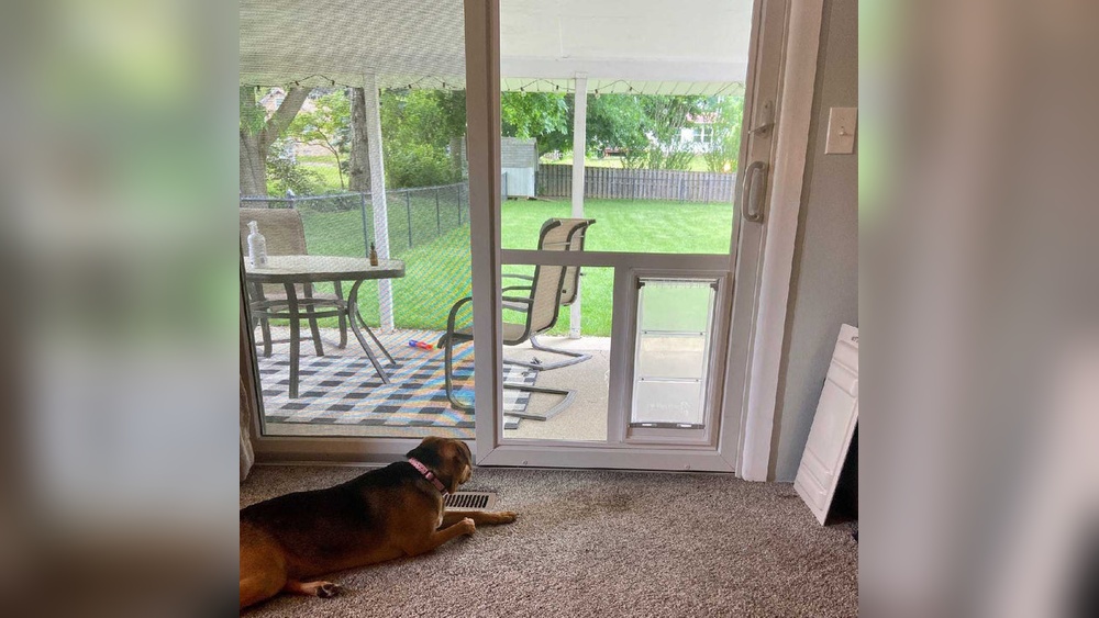 How to Clip Gate Onto Doorway to Separate Pets