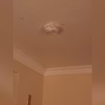 How to Cover a Smoke Detector in a Hotel