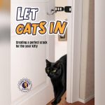 How to Crack Your Bedroom Door And Keep Pets at