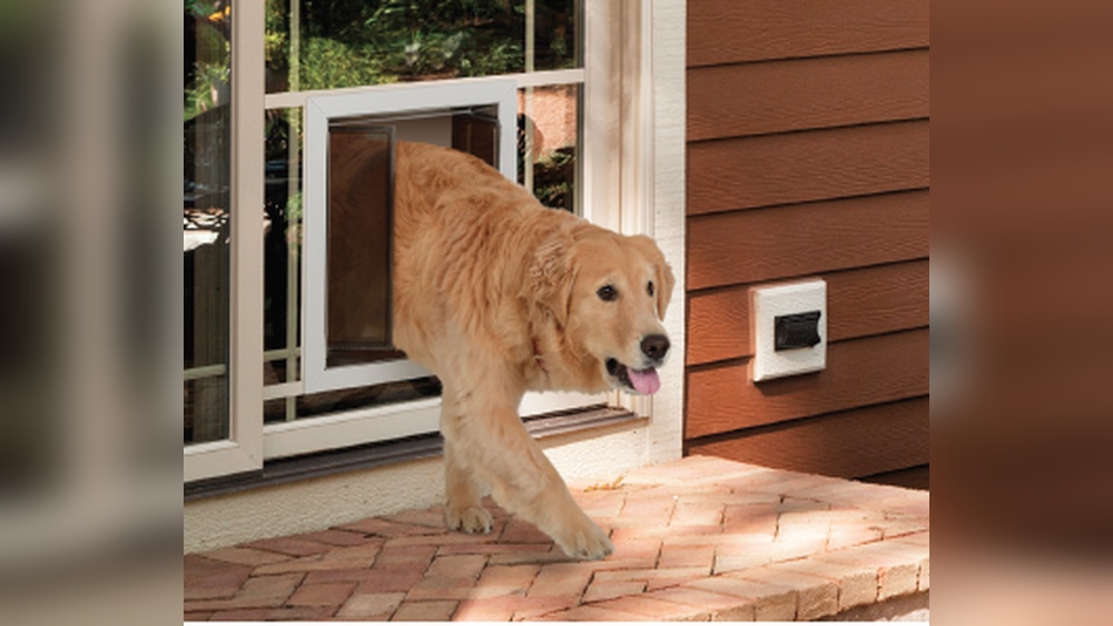 How to Cut Pet Door Hole