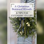 How to Decorate a Real Boxwood Wreath for Christmas
