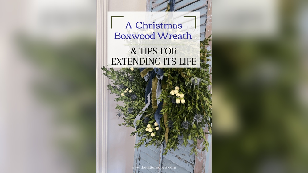 How to Decorate a Real Boxwood Wreath for Christmas