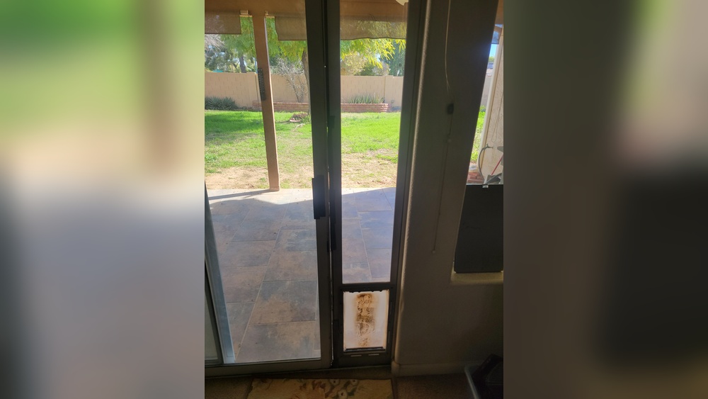How to Fix Old Pet Door