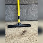 How to Get Pet Hair Out of a Rug