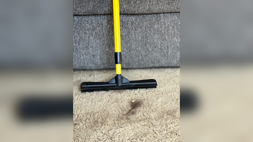 How to Get Pet Hair Out of a Rug