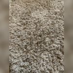 How to Get Pet Hair Out of Area Rug