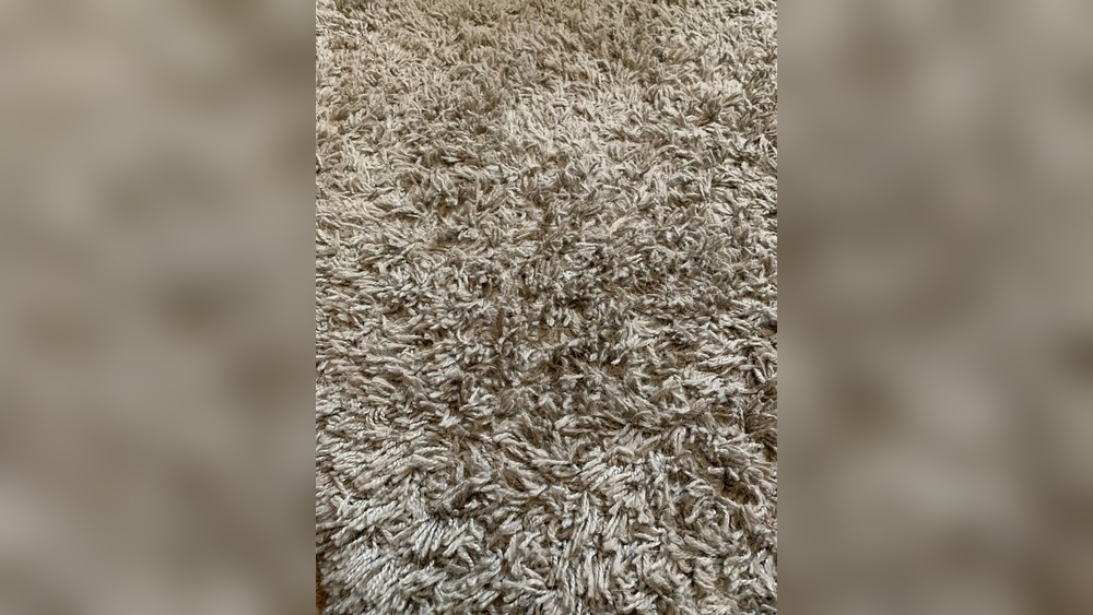 How to Get Pet Hair Out of Area Rug