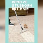 How to Get Pet Hair Out of Area Rugs