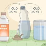 How to Get Pet Odor Out of Area Rug