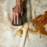 How to Get Pet Poop off of Cowhide Rug