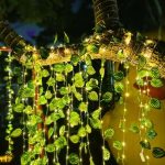 How to Hang Led String Lights Plants