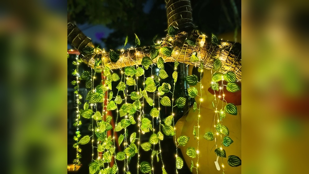 How to Hang Led String Lights Plants