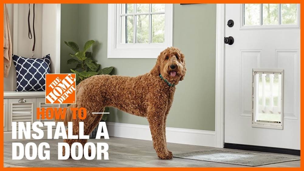How to Imstall Pet Door