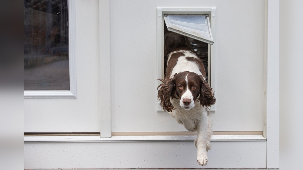 How to Install a Pet Door in a Door