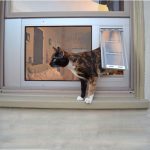 How to Install Pet Door in Glass