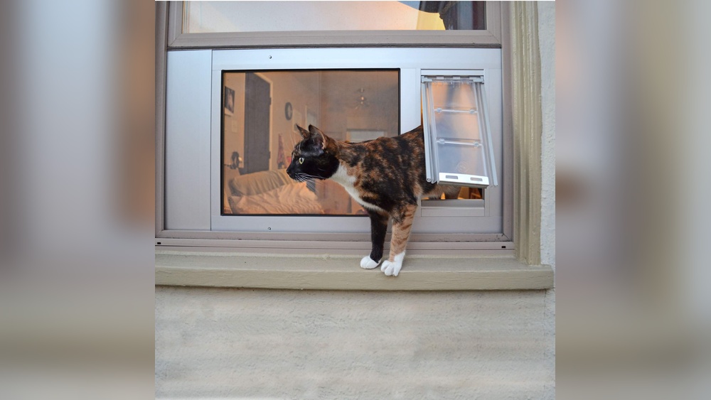 How to Install Pet Door in Glass