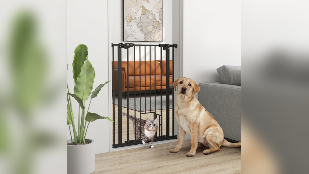 How to Install Pet Door in Raised Panel Doors