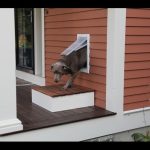 How to Install Pet Door in Wall