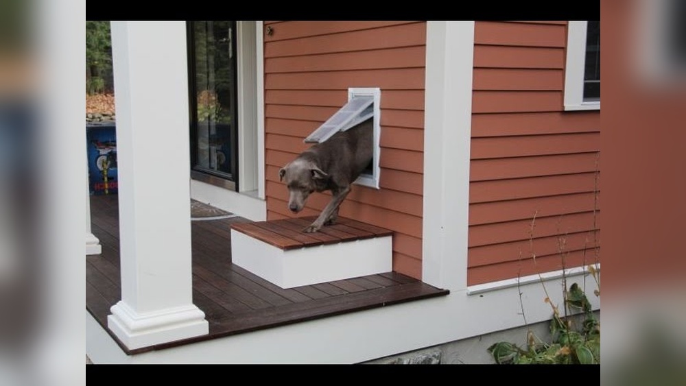 How to Install Pet Door in Wall