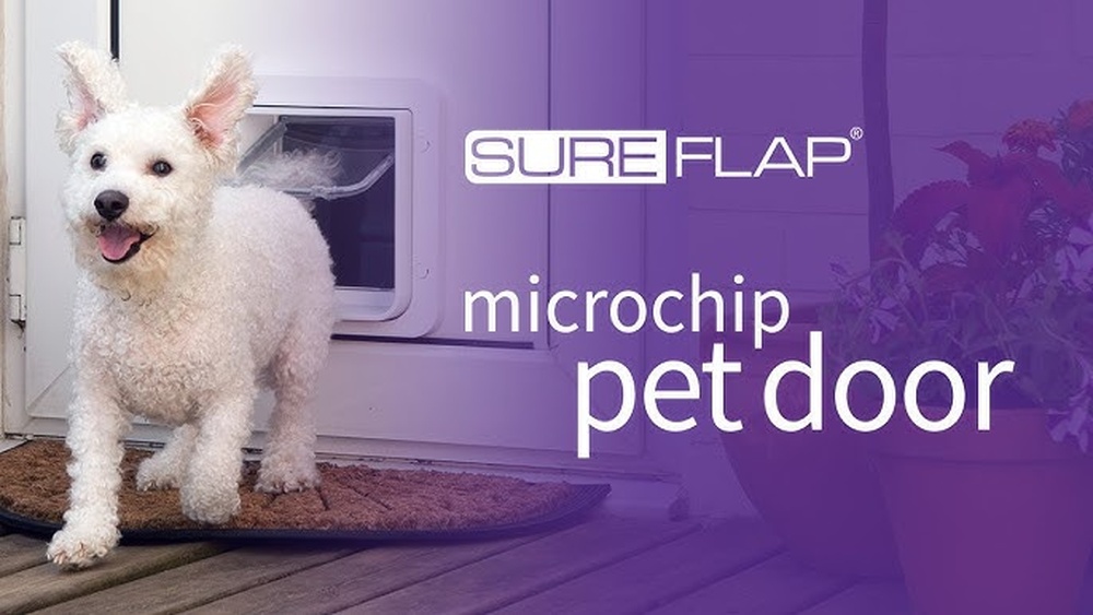 How to Install Sureflap Microchip Pet Door