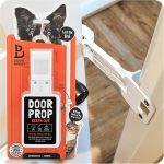 How to Keep a Blind Cat Away from Pet Door
