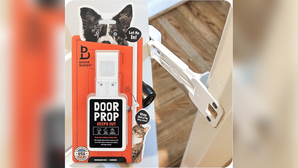 How to Keep a Blind Cat Away from Pet Door