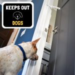 How to Keep Animals from Getting in Pet Door