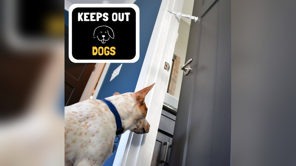 How to Keep Animals from Getting in Pet Door