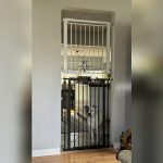 How to Keep Dogs from Jumping Over Pet Gate