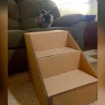 How to Make Cardboard Stairs for Pets