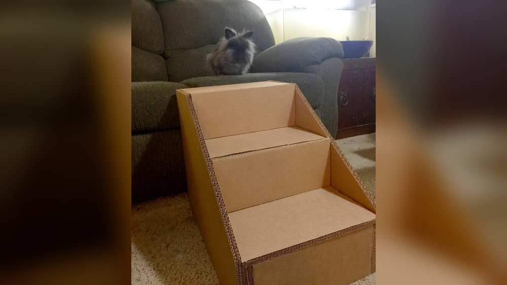 How to Make Cardboard Stairs for Pets
