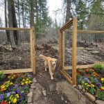 How to Make Pet Kennel Gates