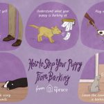 How to Make Pet Stop Howling at Bedroom Door