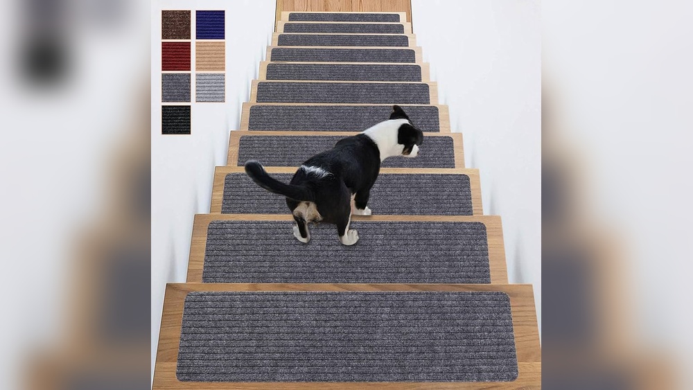 How to Make Stairs Pet Friendly