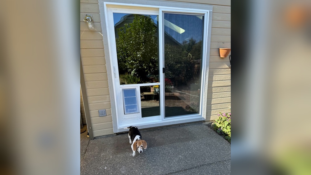 How to Measure a Door for a Pet Door Insert