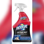 How to Prevent Pet Stains And Odors on Rug