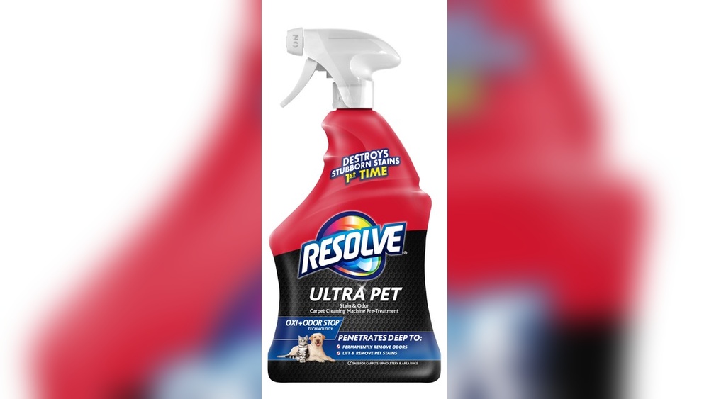 How to Prevent Pet Stains And Odors on Rug