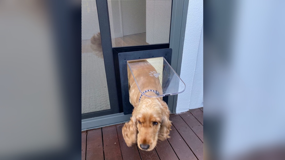 How to Put a Pet Door in a Screen Door