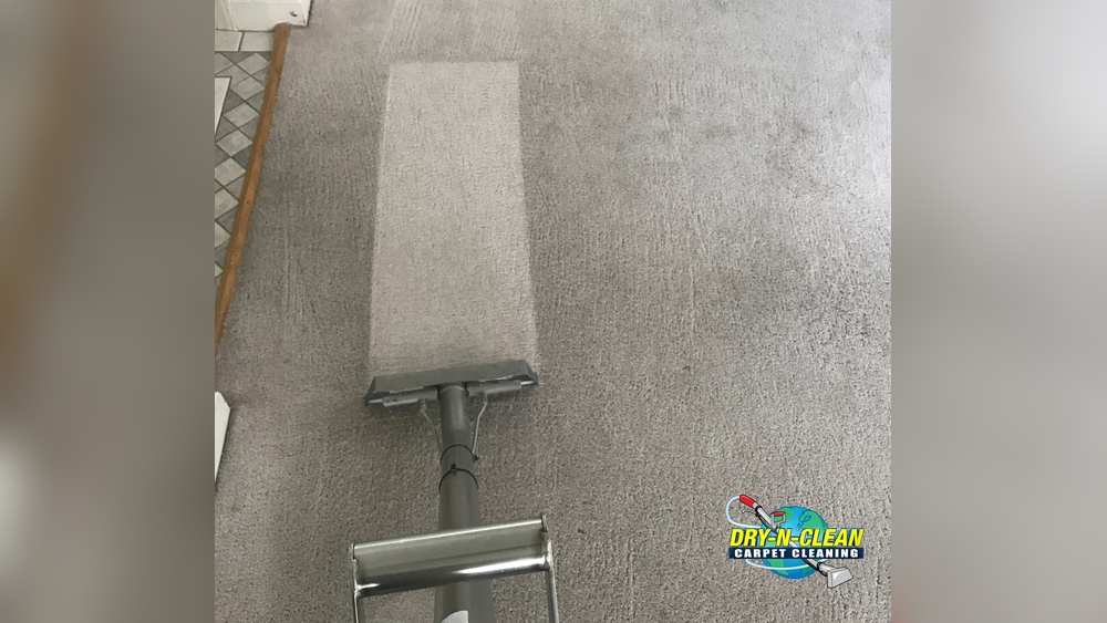 How to Remove a Pet Stain from a Sisal Rug